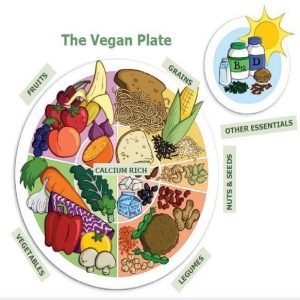 9 savjeta za vegane početnike veganski tanjur, soul food internet trgovina