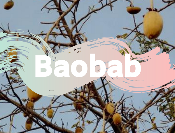 15 nevjerojatnih blagodati baobab praha, soul food internet trgovina
