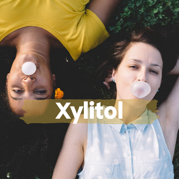 xylitol i sve o njemu, soul food internet trgovina